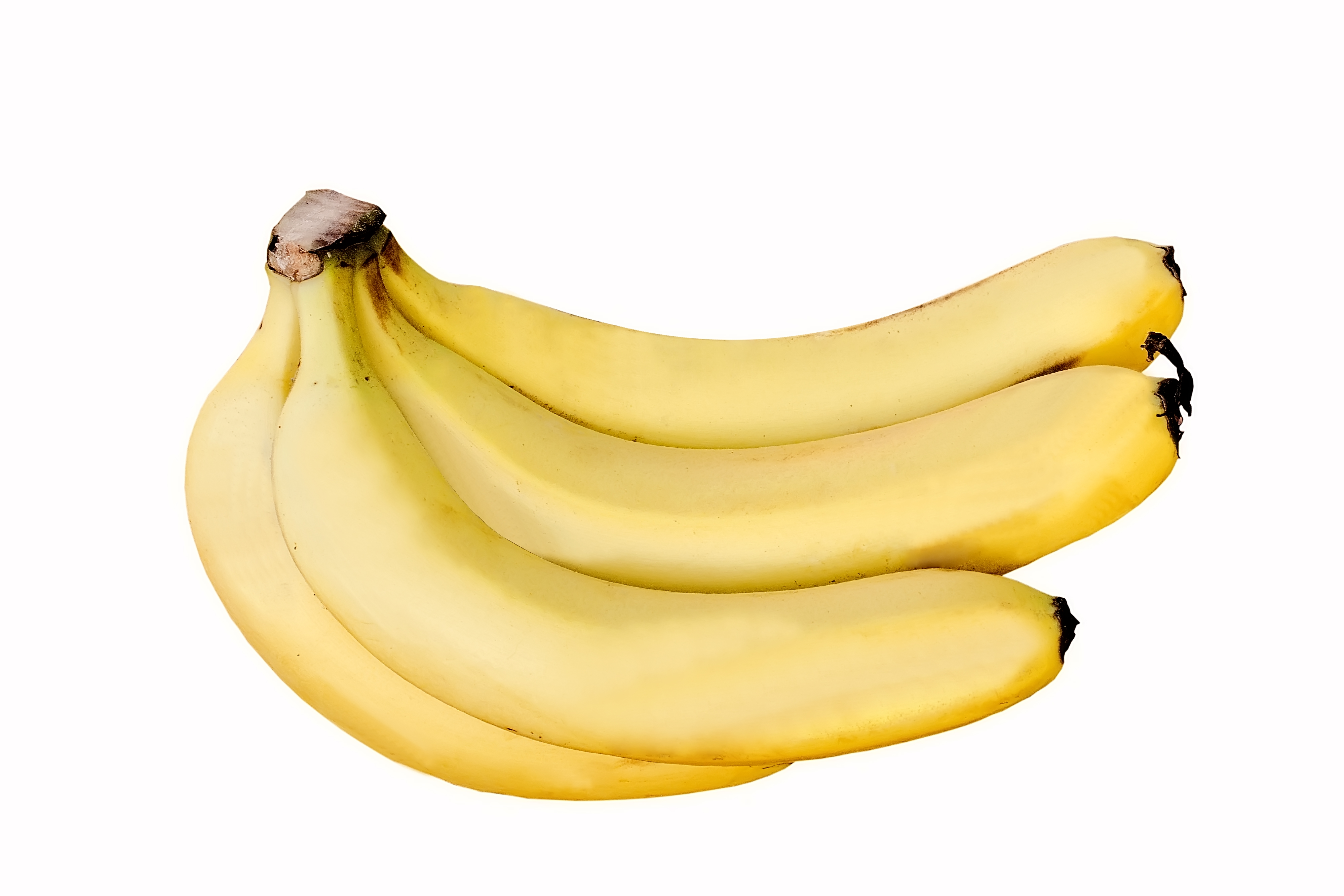 Things That are 7 Inches