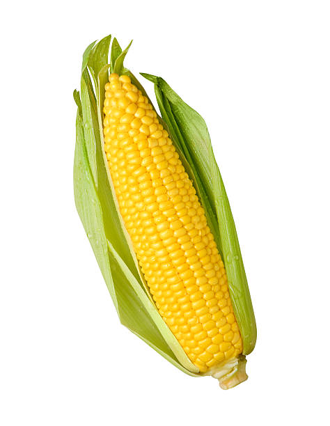 Things That are 7 Inches