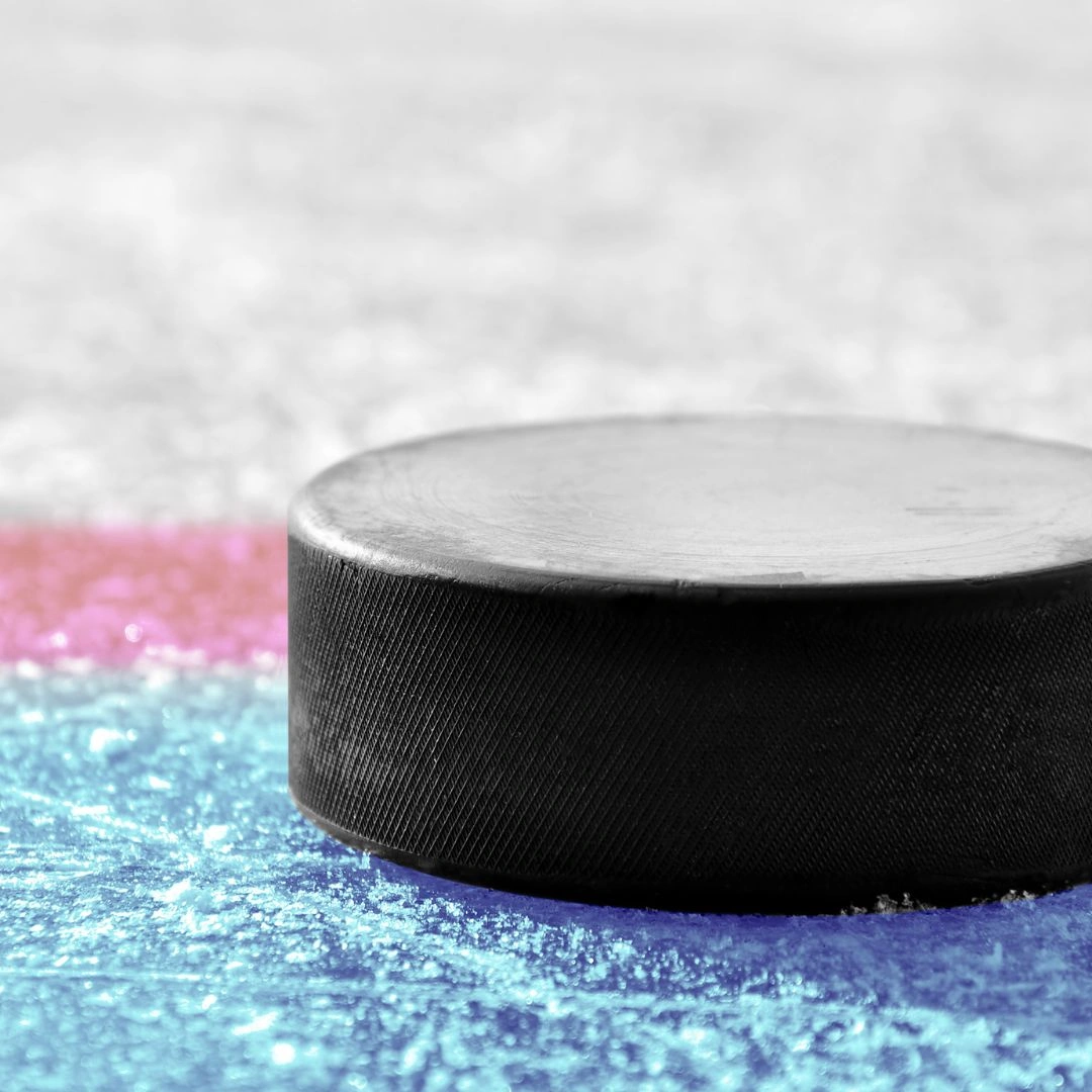 Hockey Pucks