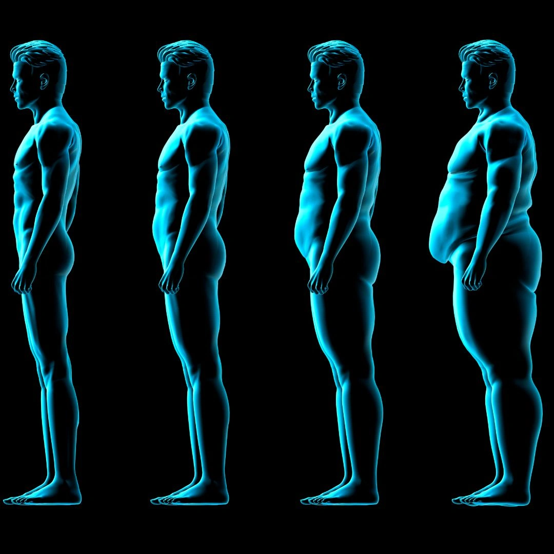 Body Type Calculator