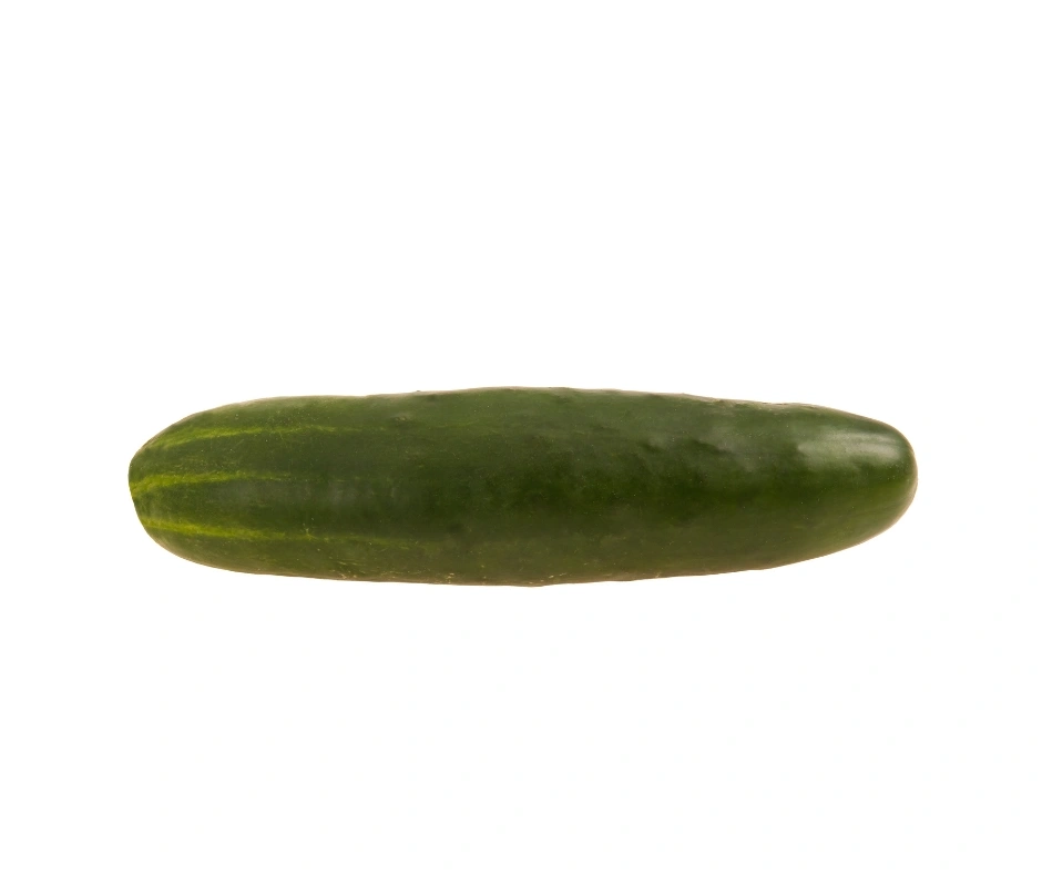 17 Inches