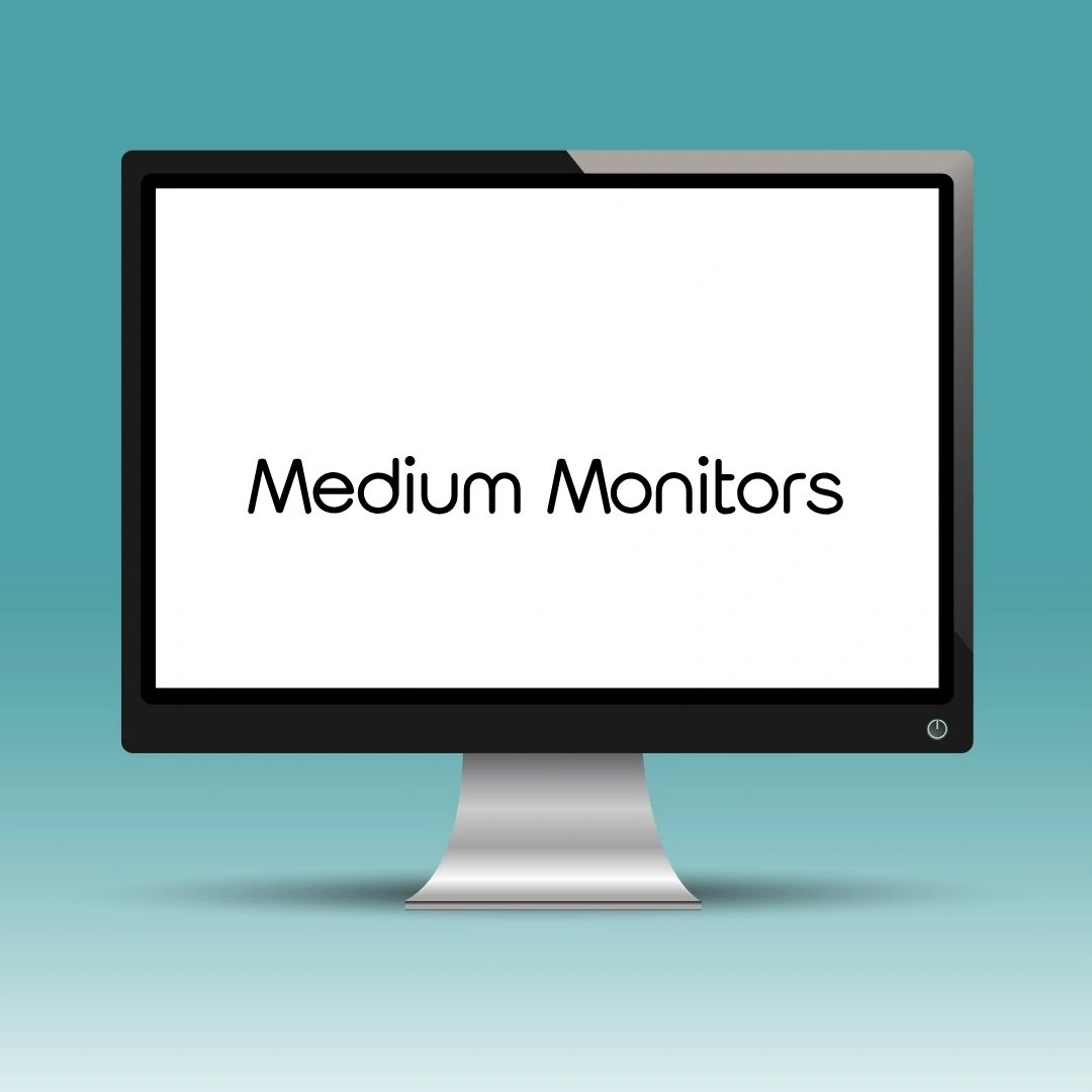 Standard Computer Monitor