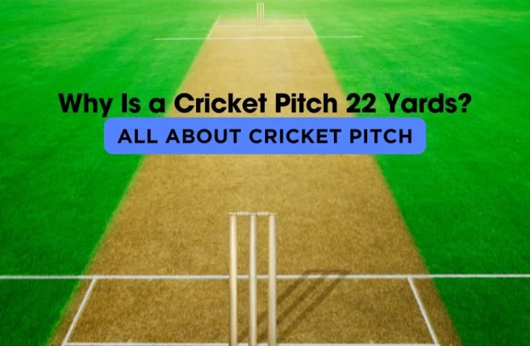 Cricket Pitch Size