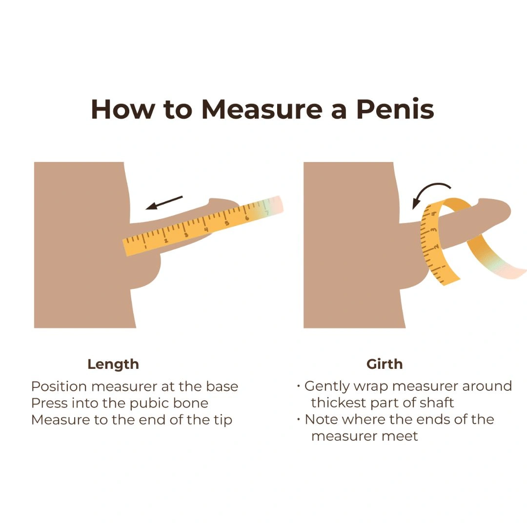 How to Measure Penis Girth