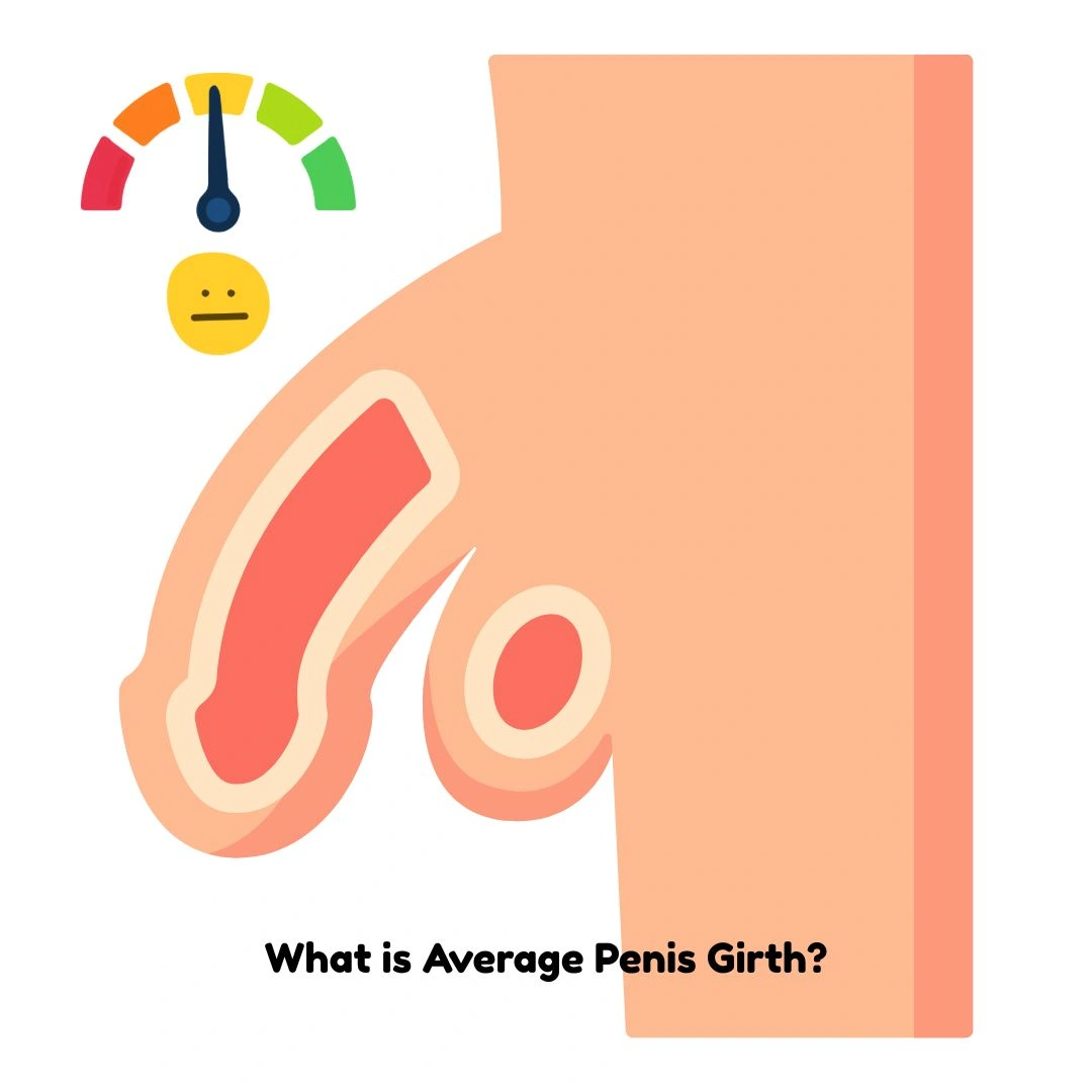 Average Penis Girth