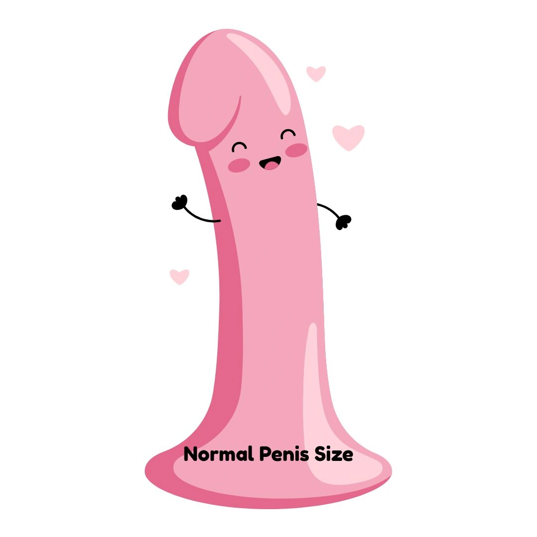Normal Penis Size